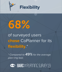 Flexibility - The Planning Survey